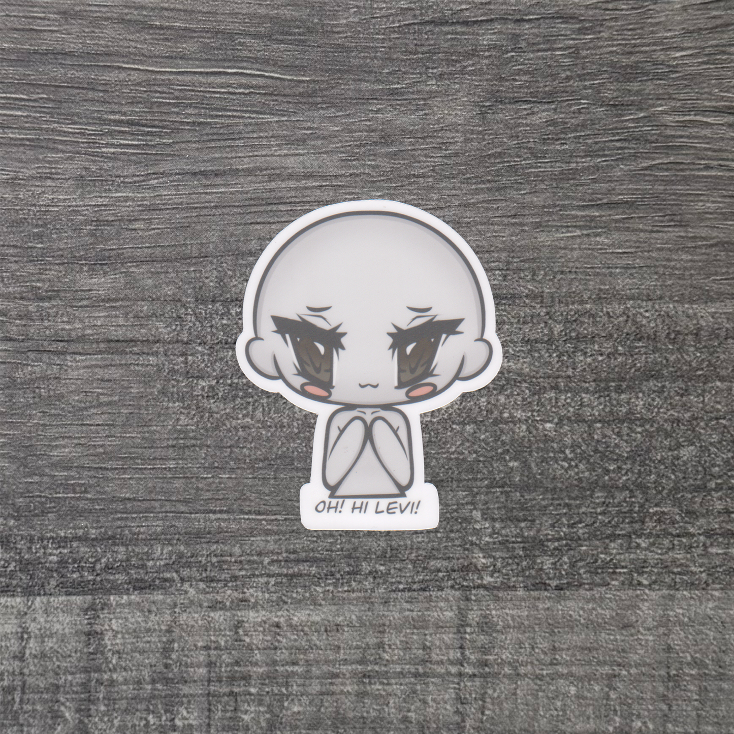 Y/N ChubBaes Sticker